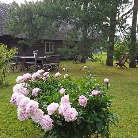 Maenni Summerhouse Kassari Luaran gambar